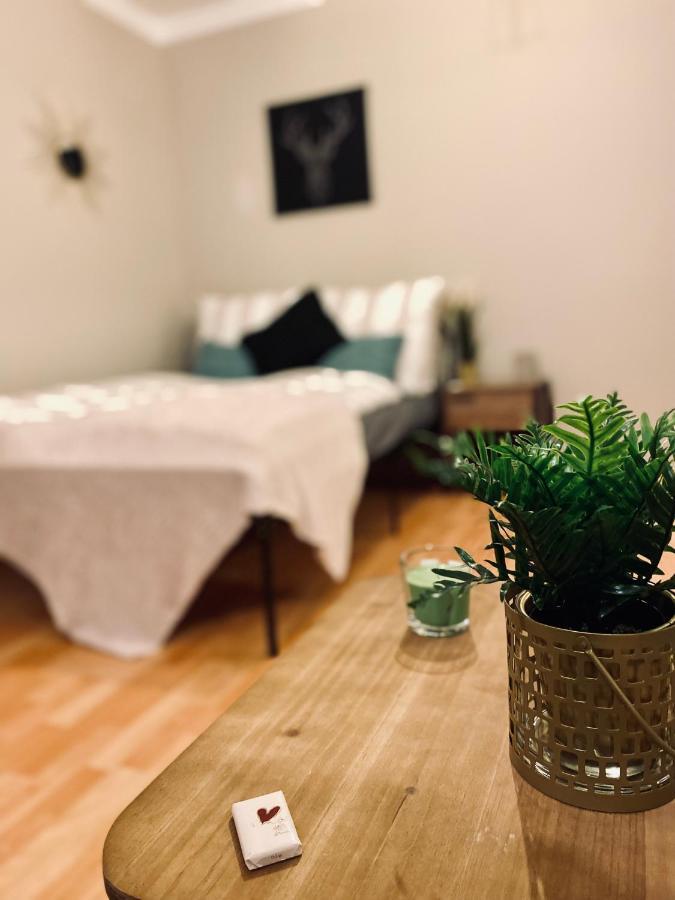 Saniertes Studio - Elisa - Mit Balkon, Wlan, Smart-Tv & Kueche In City-Naehe Erfurt Exterior foto